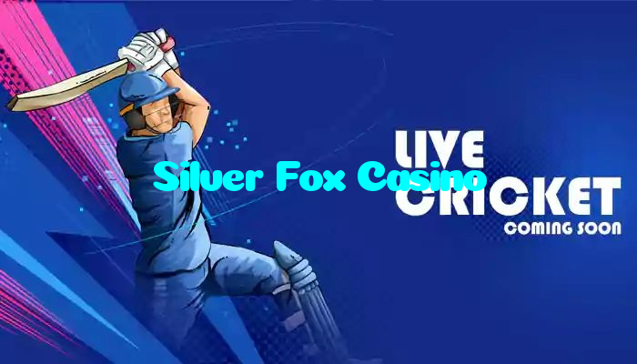 making first deposit on Silver Fox Casino website using local payment methods in Pakistan